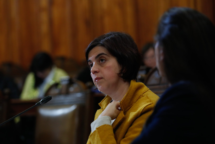 Ministra Pascual condena ataque sexual en Petorca: