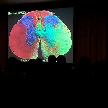 Perderse un poco: Crónica de un congreso de biología