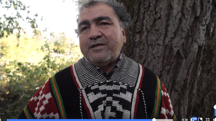 José Tralcal, condenado en caso Luchsinger: "El fiscal Chiffelle me dijo que para estar tranquilo tenía que renunciar a ser dirigente"