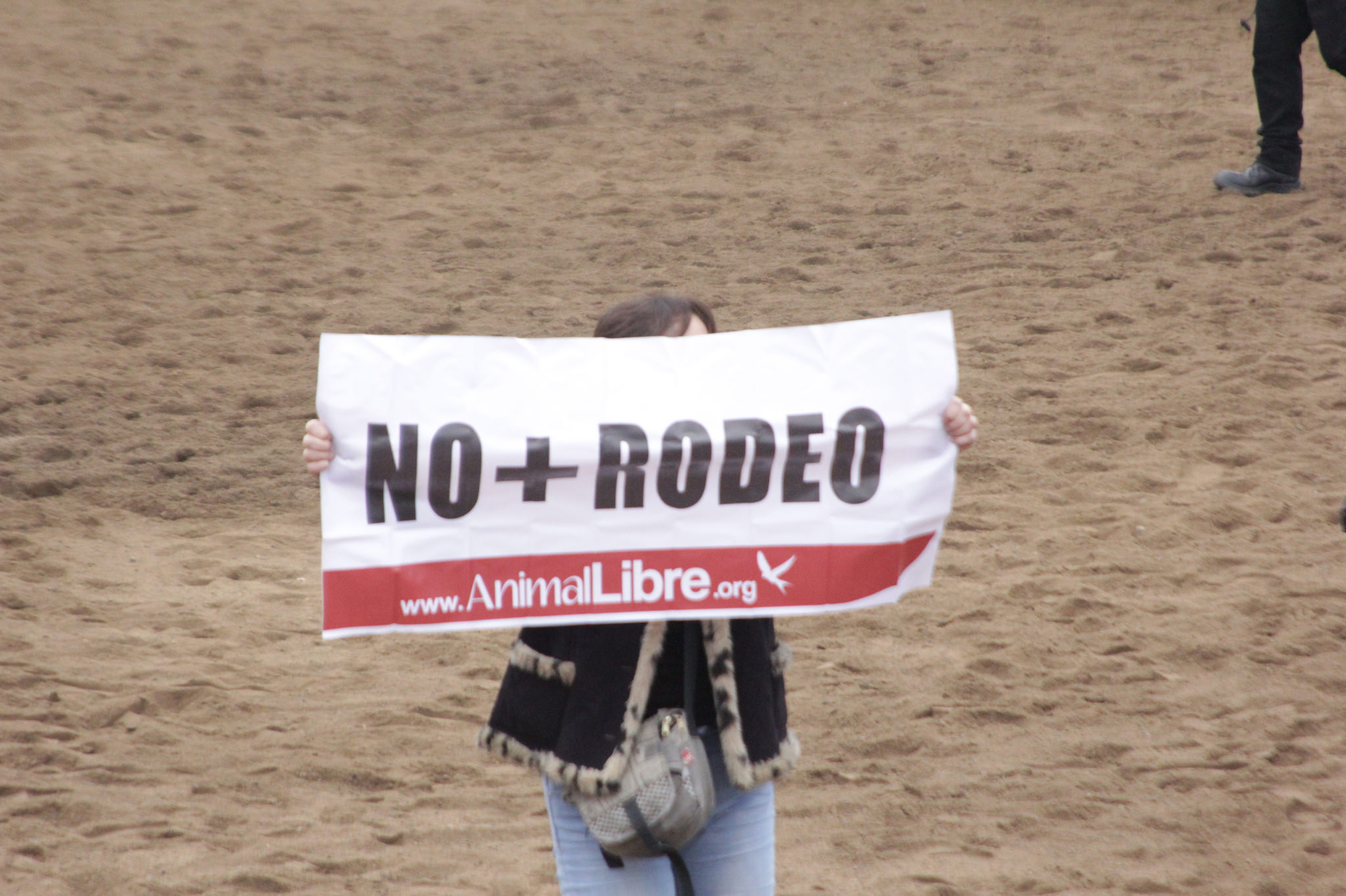 Animalistas interrumpieron rodeo en el Parque Intercomunal Padre Hurtado