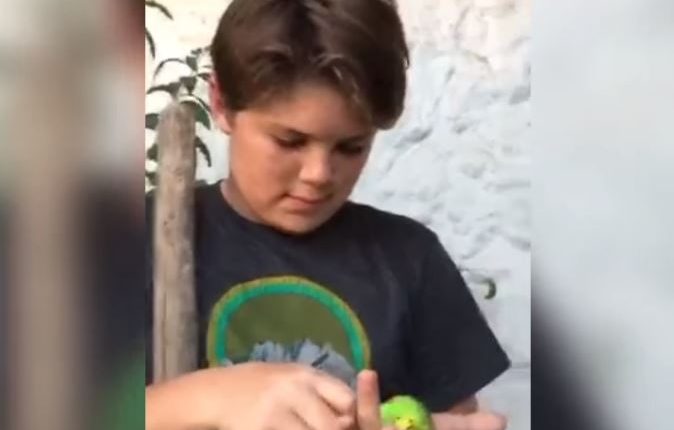 Habla el niño que sepultó a Chimuelo: 
