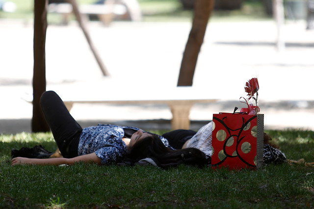 El amor no siempre es amor