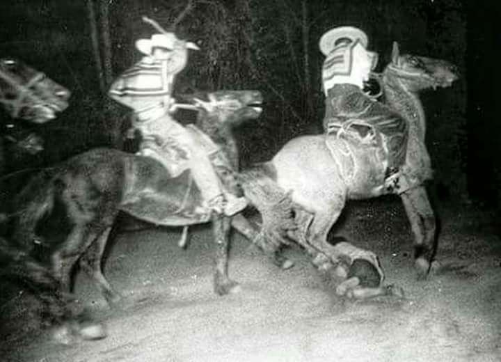 El honor de la elite. Nuestra incurable modernidad oligárquica