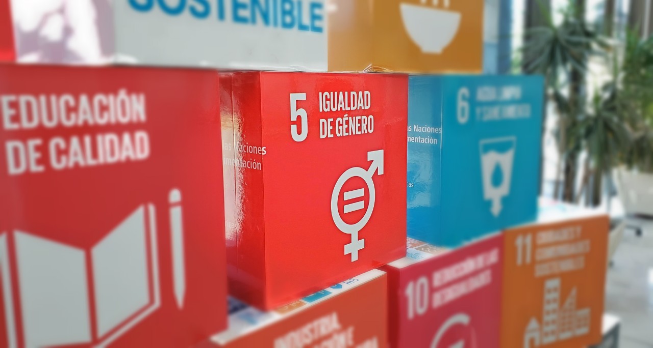 Informe PNUD sobre últimos 25 años en Chile: Mujeres ocupan solo el 20% de los puestos de poder