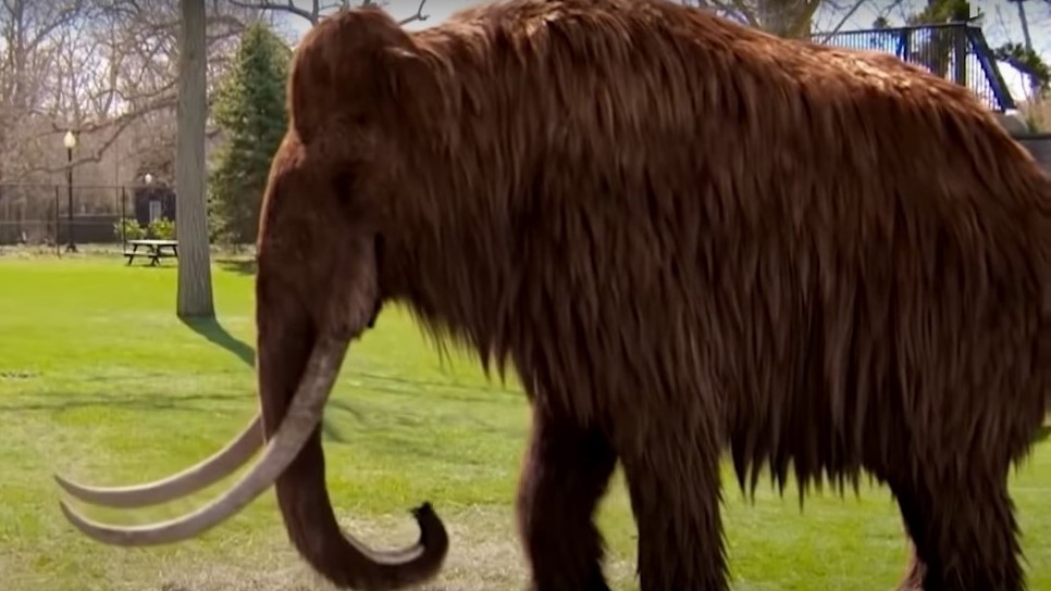 El primer adorno personal decorado de Eurasia tiene 41.500 años