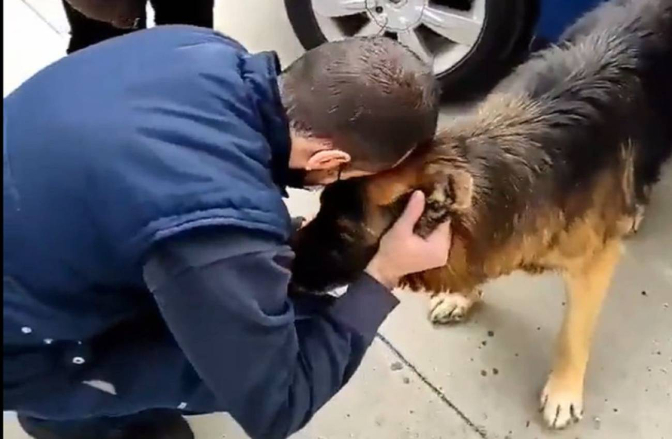 VIDEO| Conmovedor: Perro llevaba perdido siete años y se reencuentra con su familia