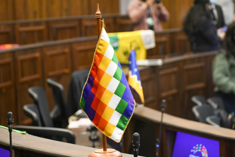 Pleno de la Convención aprueba 1 de los 38 artículos emanados de la Consulta Indígena