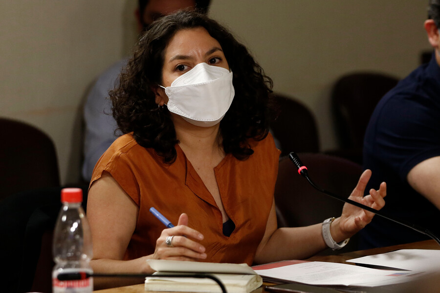 Ministra Toro y crisis habitacional: 