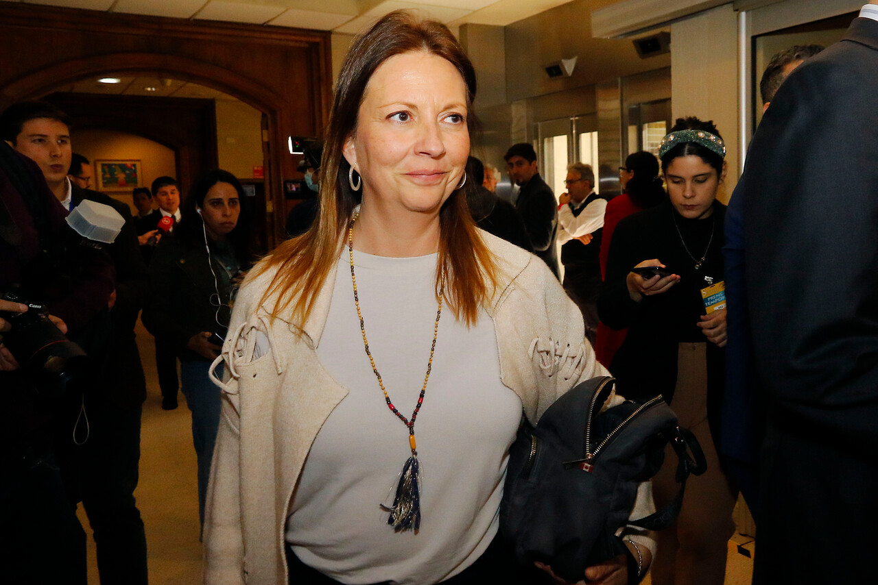 PPD por listas separadas en elección constituyente: “Las convicciones no tienen precio”