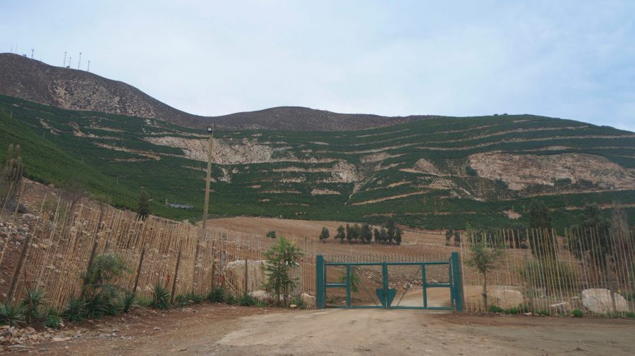 Alertan por aumento de urbanización de suelos agrícolas y áreas protegidas en el 2022