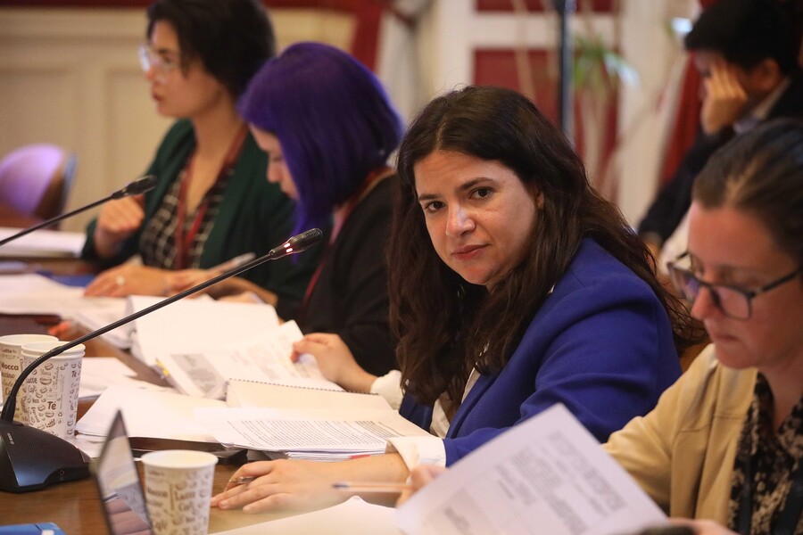 Ministra de la Mujer espera